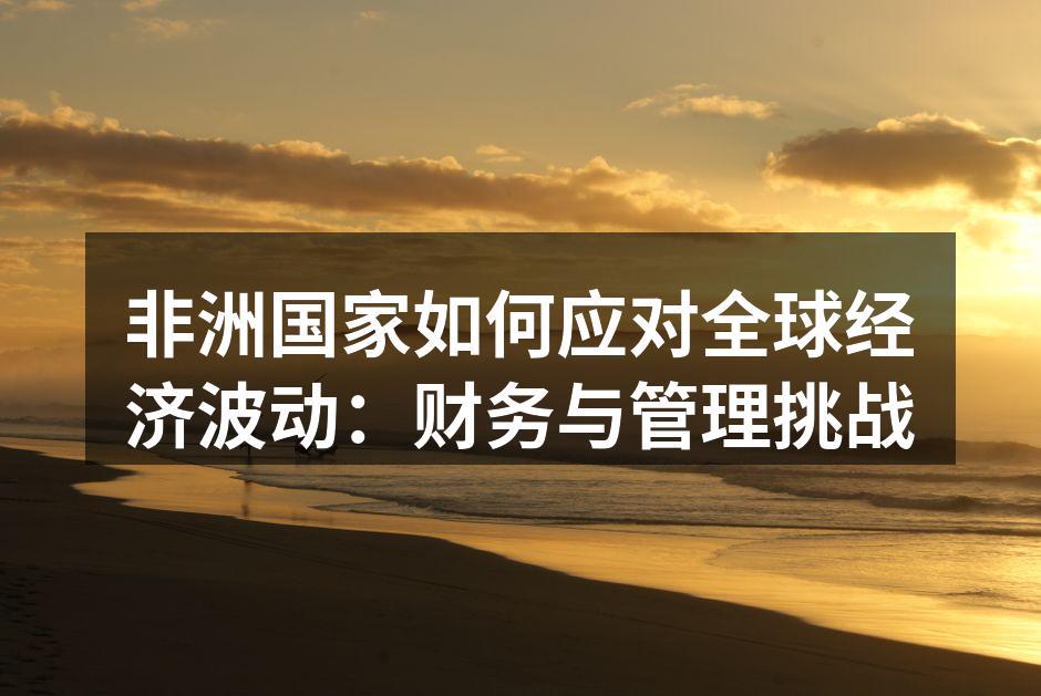 非洲国家如何应对全球经济波动：财务与管理挑战